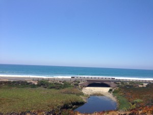 The view along the beautiful Pacific Coast Highway