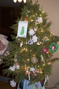 My attempt at a living Christmas tree